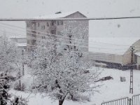 Çukurca kar yağışı etkisi altına girdi