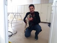 Yavru köpeklere belediye sahip çıktı