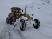 Van'da 11 yerleşim yeri ulaşıma kapandı