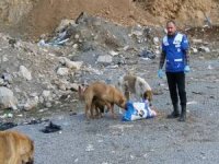 Sokak hayvanlarını kendi elleriyle beslediler