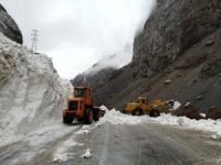 Hakkari-Çukurca karayoluna çığ düştü