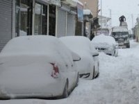 Başkale’de kar esareti