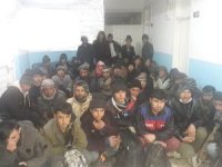 Kamyonet kasasında 54 kaçak yakalandı