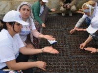 Kadınlardan türkülü tohum ekimi