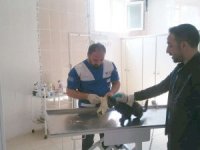Hakkari’de yaralanan kedi kurtarıldı...