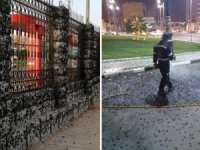 Medine'yi çekirgeler bastı