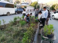 Belediye encümenleri orta refüjlere çiçek ekti