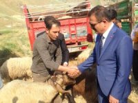 Hakkari’de 987 küçük baş hayvan dağıtıldı