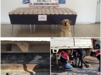 101 kilo 213 gram eroin ele geçirildi