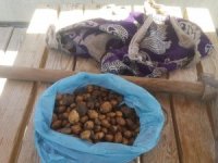 Salep soğanı toplayan şahsa 60 bin TL ceza