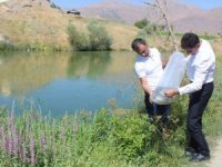 Hakkari ve ilçelerinde 29 gölete yavru balık bırakıldı