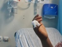 Genç kızı yılan ısırdı...