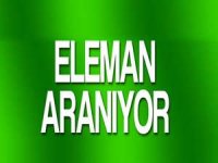 Depin halı eleman arıyor