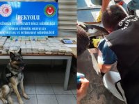 Habur Gümrük Kapısı'nda 105 kilo eroin ele geçirildi