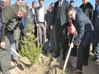 Yüksekova’da fidan dikimi