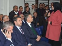 Ak Parti heyeti Hakkari'de incelemelerde bulundu