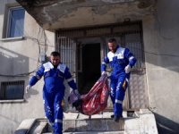 Hakkari’de Sokak hayvanları emin ellerde