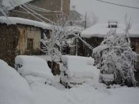 Hakkari'de kar esareti (Video)
