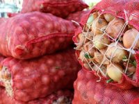 Aralık ayının zam şampiyonu kuru soğan oldu