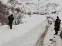 Vedaş ekiplerinin sınırda zorlu mesaisi