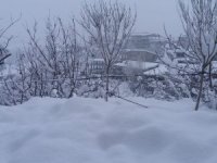 Hakkari'de taşımalı eğitim tatil edildi