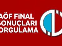 AÖF Sonuçları Sorgulam!