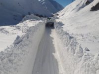 Hakkari'de 209 yerleşim yolu ulaşıma kapandı