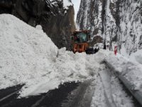 Hakkari-Van karayoluna çığ indi