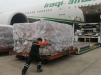 Çin'den Irak'a korona virüs yardımı