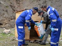 Sokak hayvanları emin ellerde