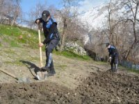 Hakkari polis şehit ailesi için bostan yaptı