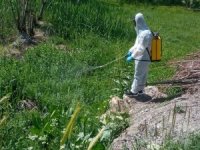Hakkari'de Larva ilaçlama çalışmaları sürüyor