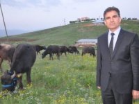 20 manda ve 12 malak dağıtıldı