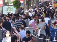 Van ilinde vaka sayısı artıyor
