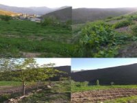 Hakkari’de 13 bin metrekare satılık arsa