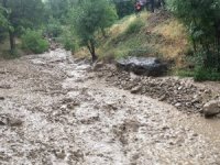 Üzümcü Dağaltı mezrasında sel...