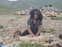 22 yaşındaki Zeynep çobanlık yapıyor