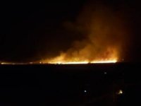 Yüksekova Nehil Sazlığı alev alev yandı