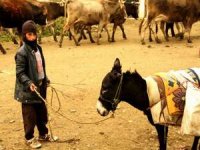 Yüksekova’da sonbahar güzelliği