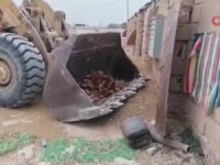 Irak'ta kuş gribi: 60 bin tavuk itlaf edildi