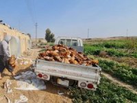 100 bin tavuk kuş gribine yakalandı!