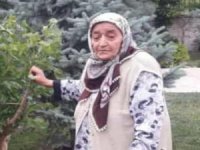 H. Şükrüye Şen Van'da toprağa verildi