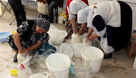 ezidi-1.jpg ezidi-1.jpg