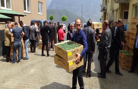 fidan-2.20140522152729.jpg fidan-2.20140522152729.jpg