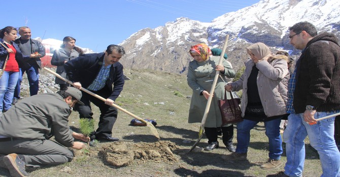 hakkari-fidan-dikimi-m.jpg
