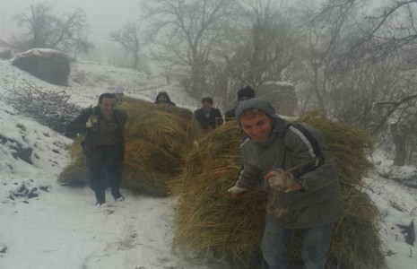 kizakla-ot-cekme-1.jpg kizakla-ot-cekme-1.jpg