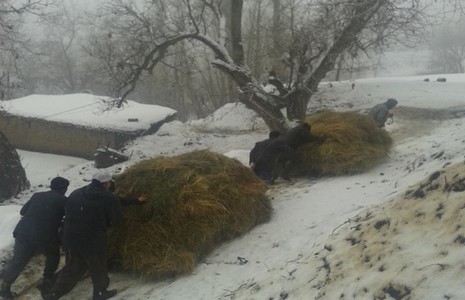 kizakla-ot-cekme-3.jpg kizakla-ot-cekme-3.jpg