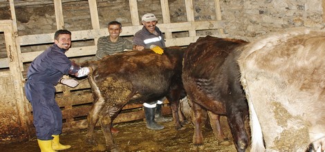 suni-tuhomlama-m.jpg suni-tuhomlama-m.jpg
