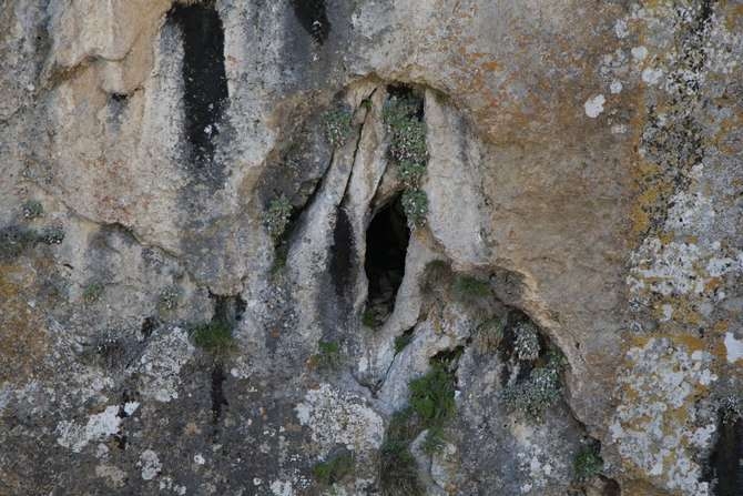 Hakkari’de 7 mağara keşfedildi galerisi resim 6