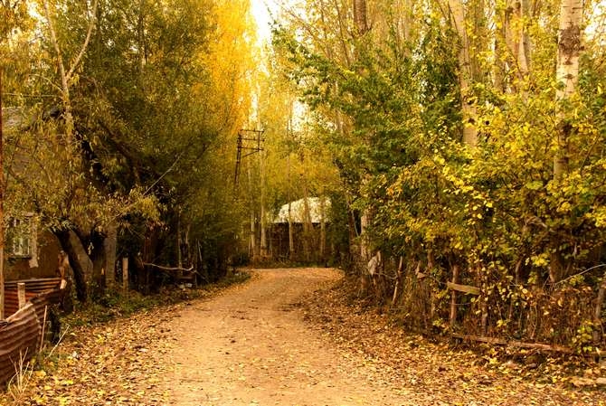 Yüksekova’da sonbahar güzelliği galerisi resim 5
